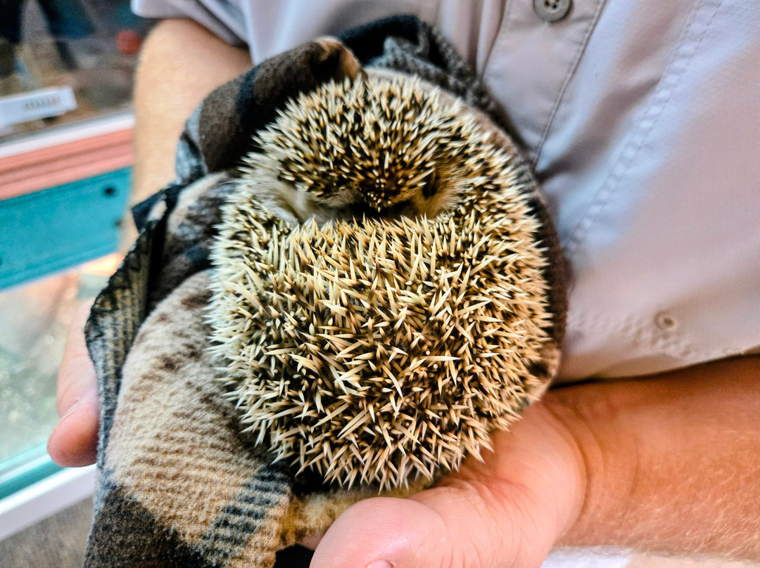 Zootah At Willow Park-洛根必去景点