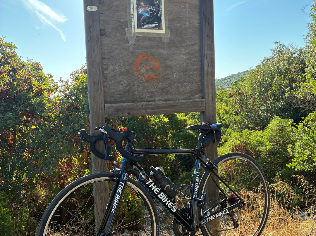 The Bikes-法萨诺必去景点