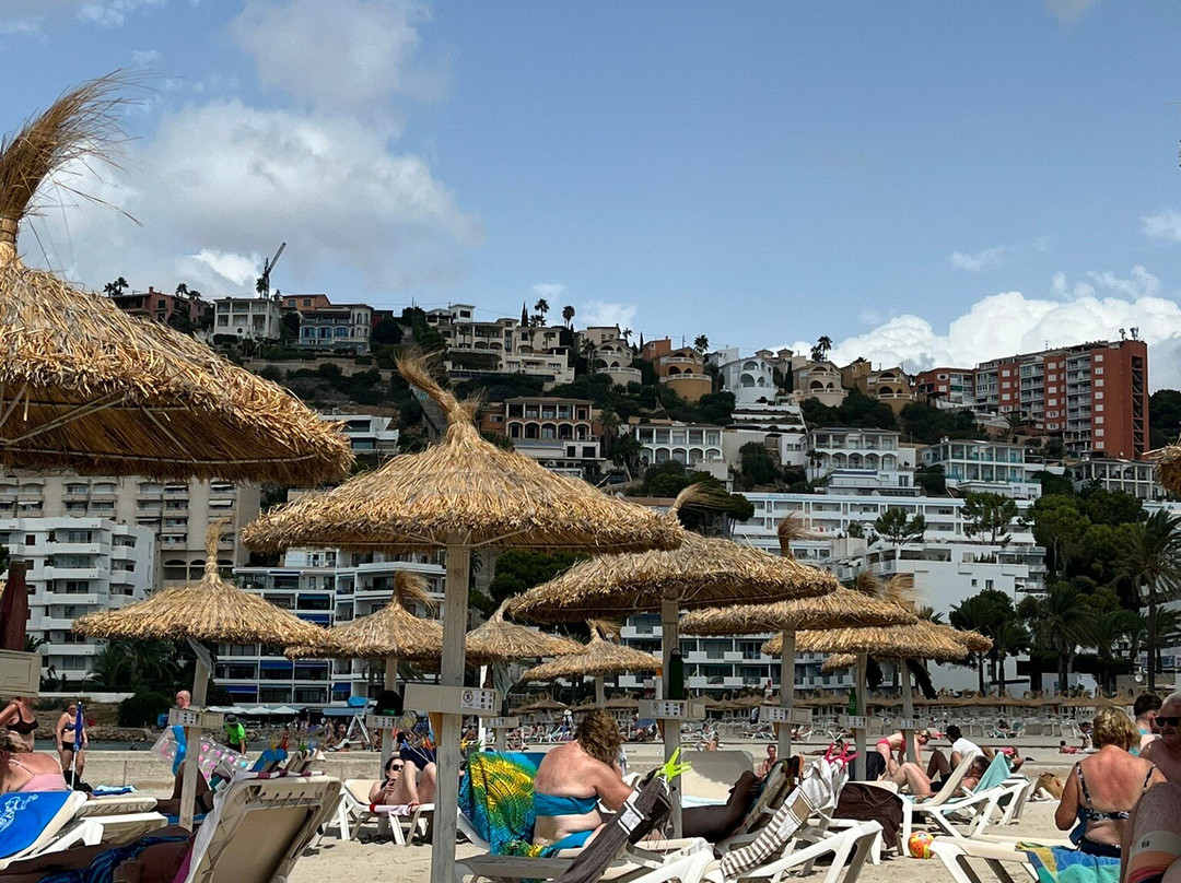 Playa Santa Ponça-圣庞沙必去景点