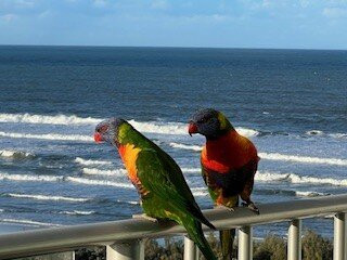 Chateau Royale Beach Resort主图