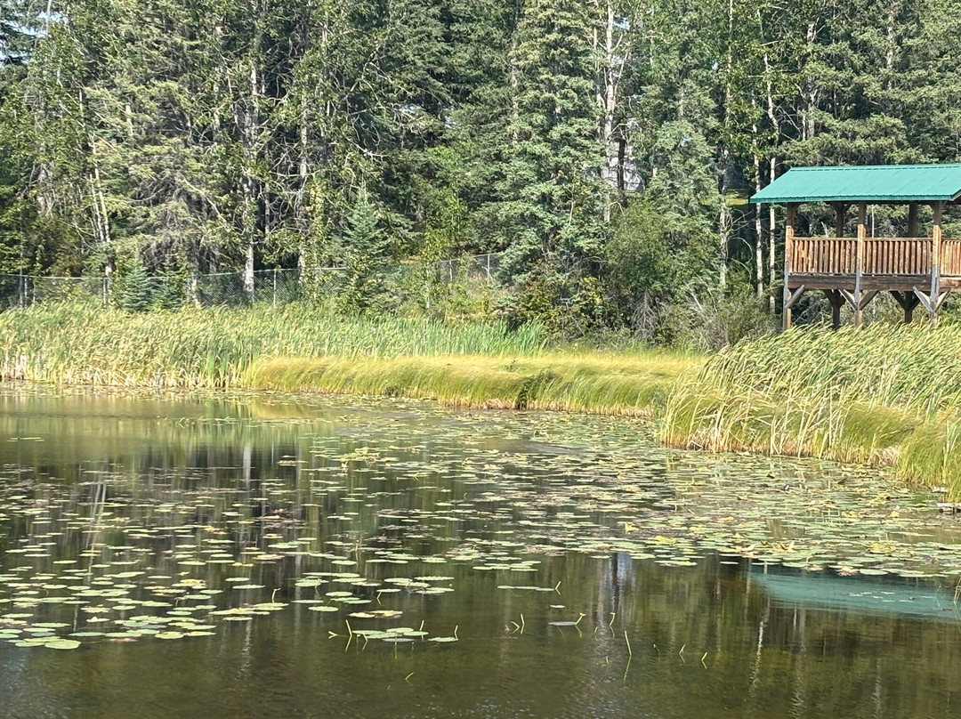 河狸木板路-兴顿必去景点