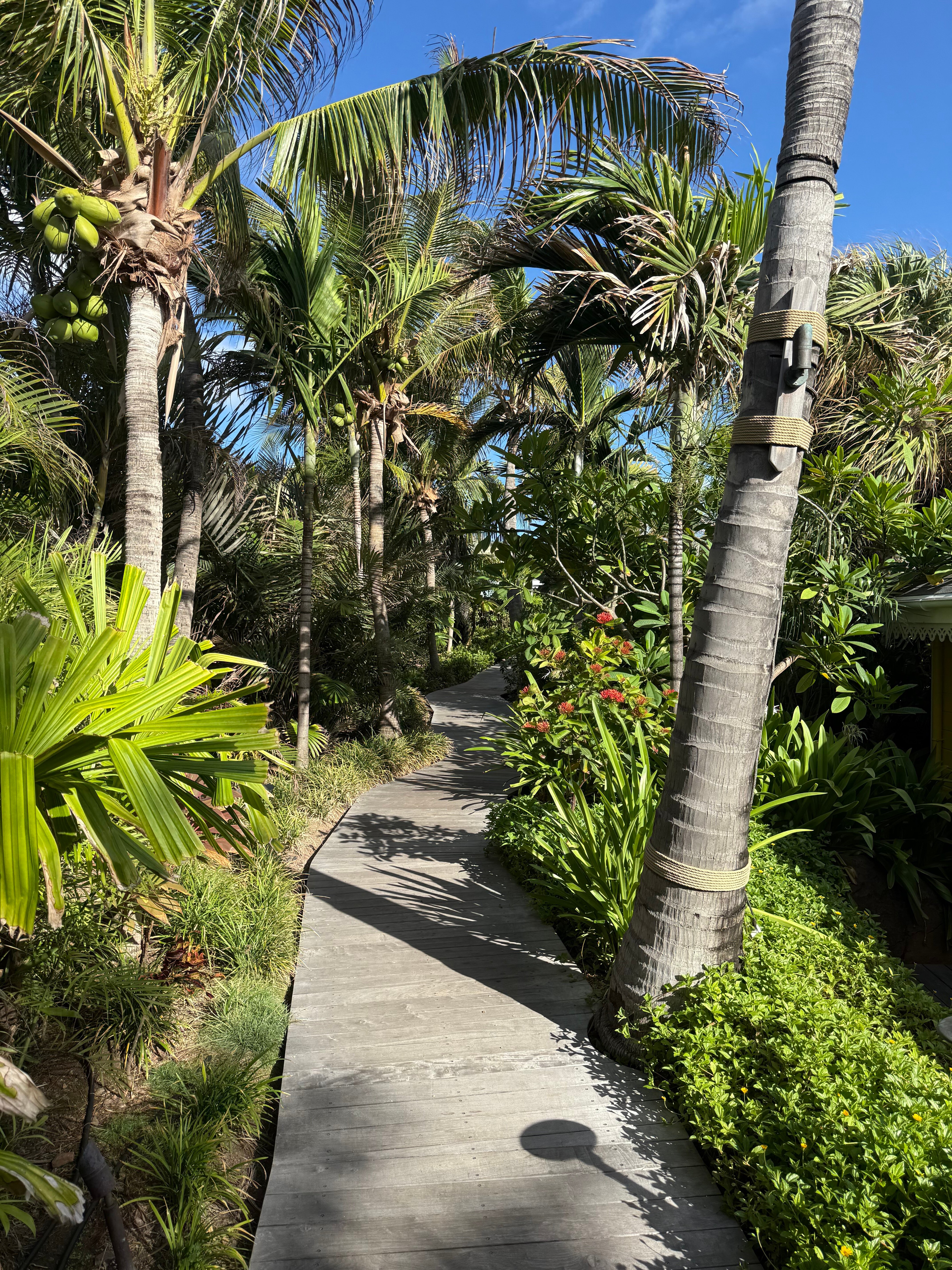 Rosewood Le Guanahani St Barth-浴室