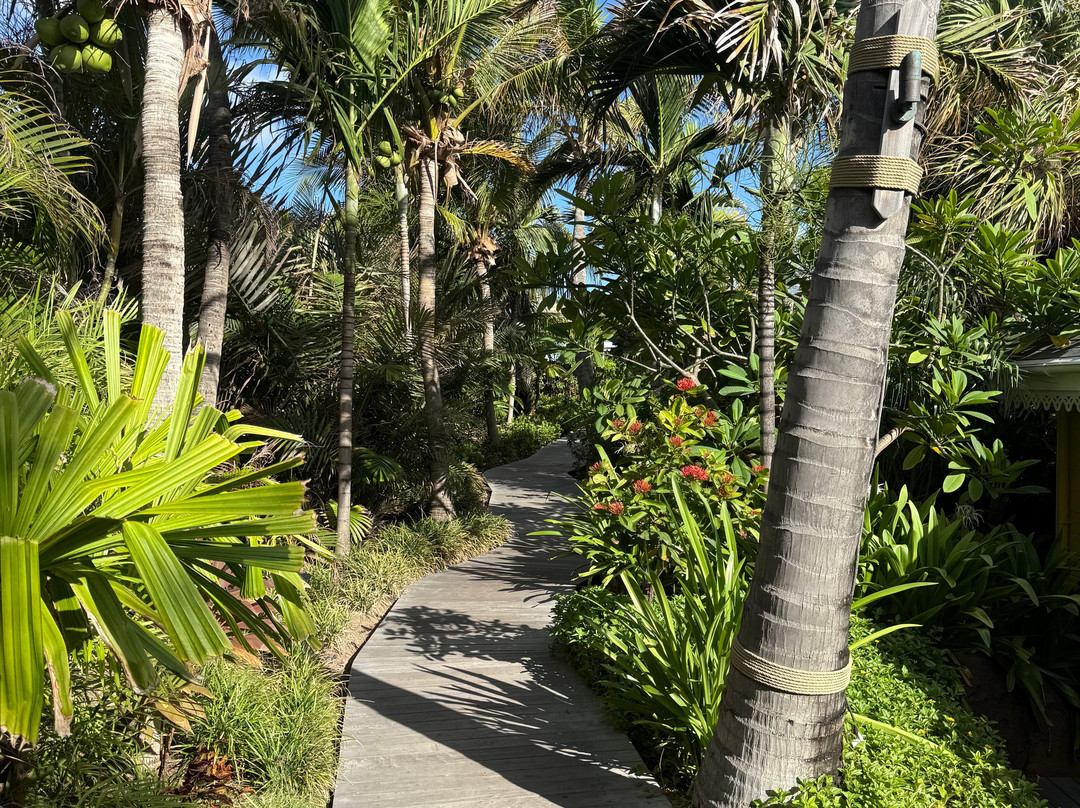 Rosewood Le Guanahani St Barth主图