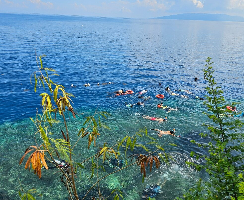 Honu Dive Center-null必去景点