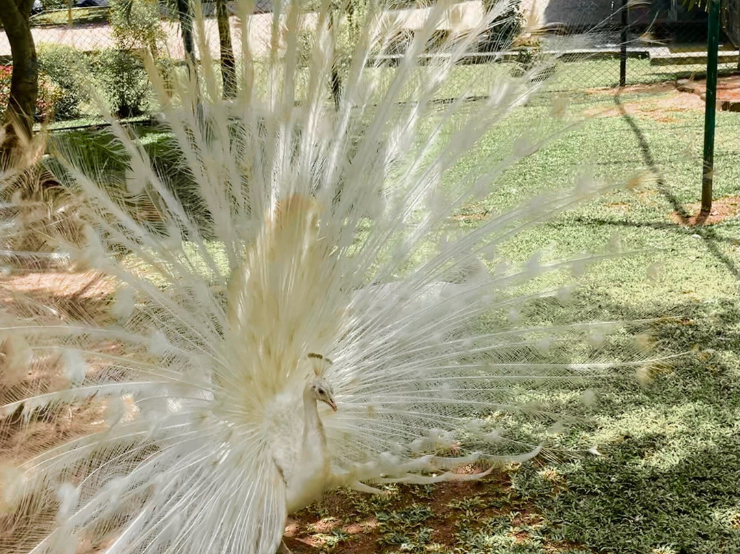 Birds Research Center & Resort-Hambantota必去景点