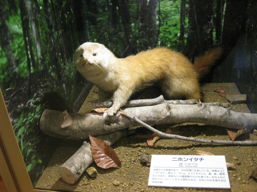 Michi no Eki Aizuyanaizu-柳津町必去景点