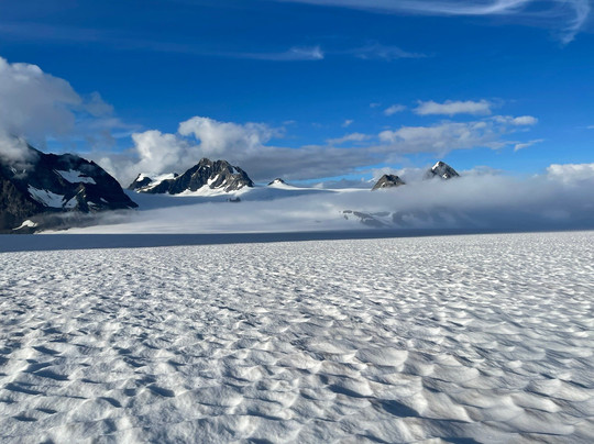 Turning Heads Kennel-苏厄德必去景点