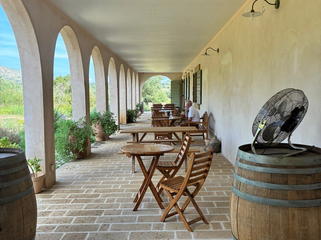 Petrakopoulos Wines-凯法利尼亚岛必去景点