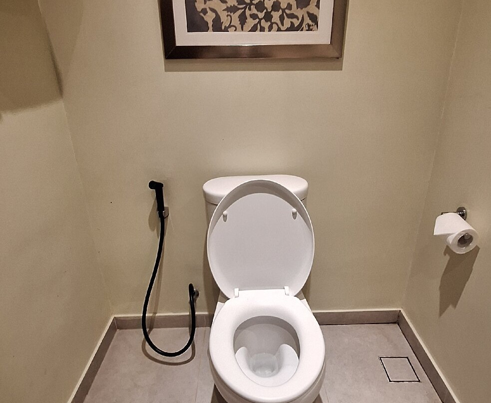 Premier Place Hotel Surabaya Airport主图