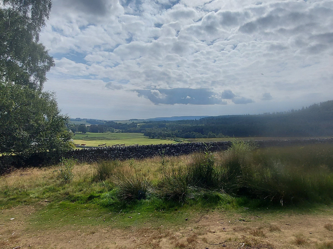 The Drake Stone-Harbottle必去景点