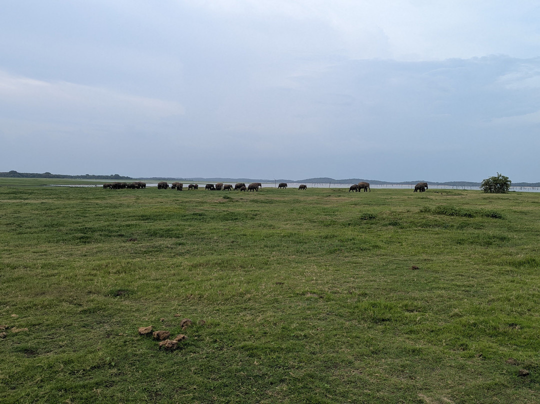 IPHA Lanka Tours-赛杜瓦必去景点