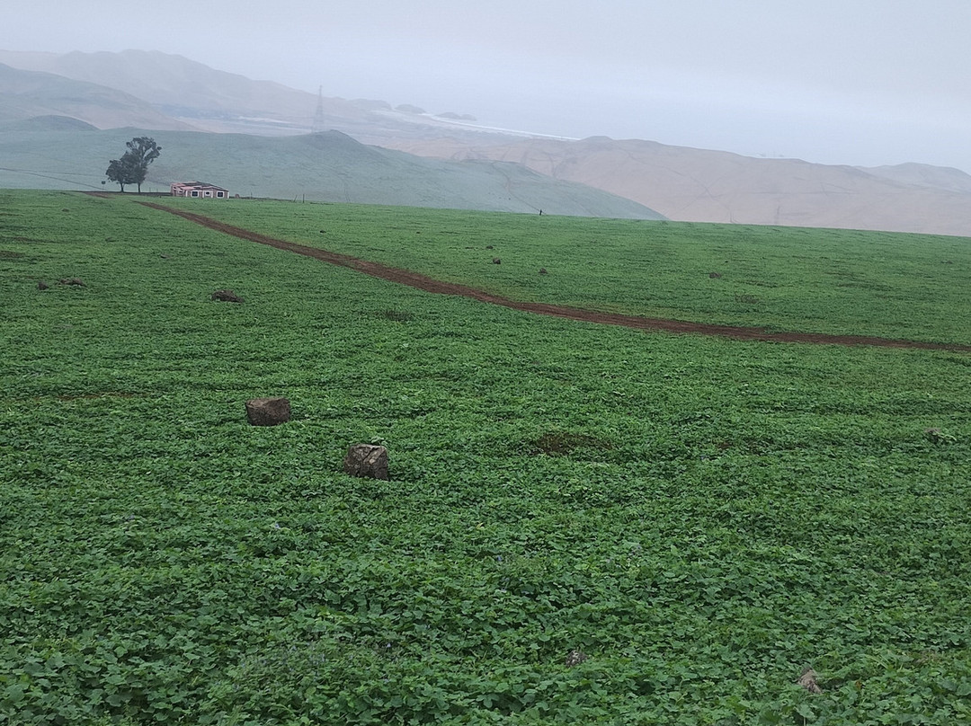 Cabalgatas-Santa Cruz de Flores必去景点