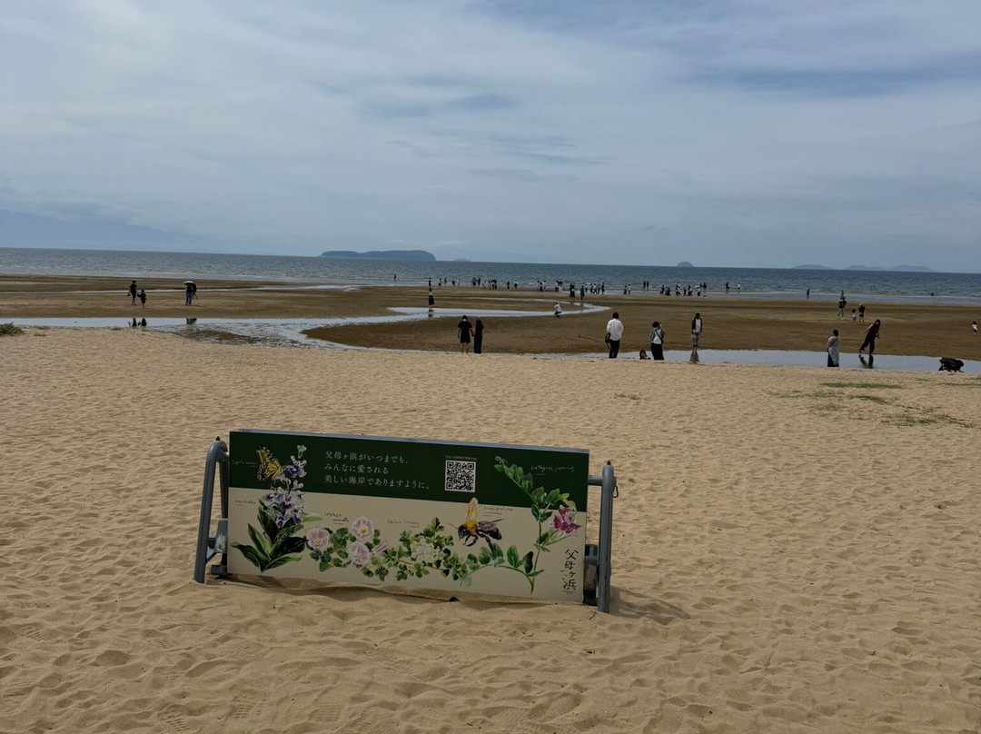 Chichibugahama Beach-三丰市必去景点