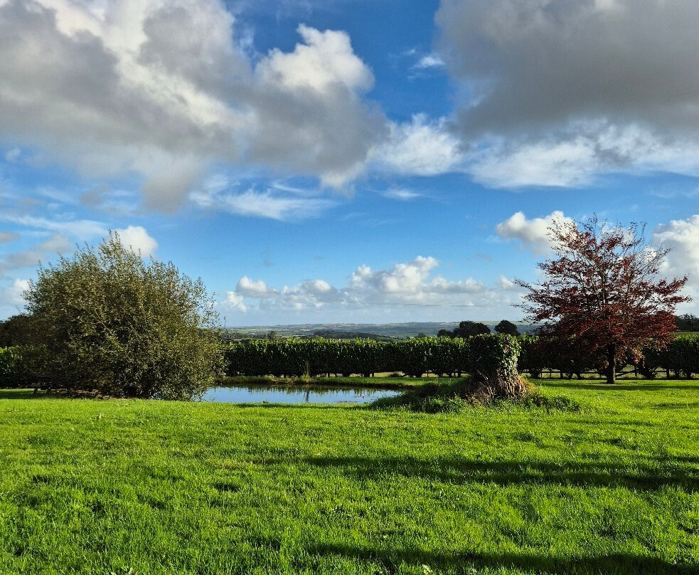 Jabajak Vineyard & Restaurant with Rooms主图