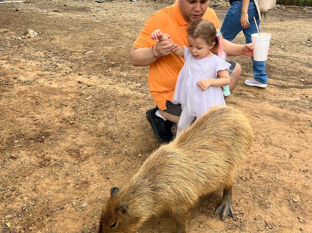 Bioparque Estrella-Montemorelos必去景点