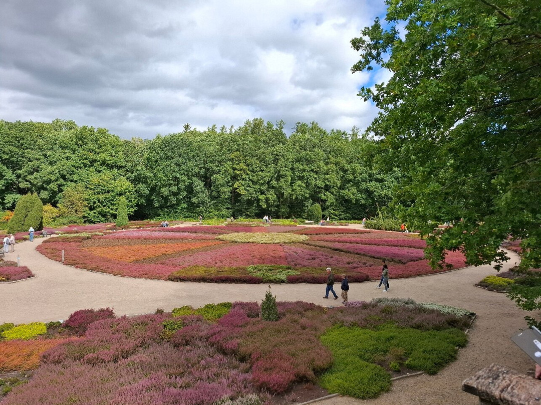 Heidegarten im Höepen-Schneverdingen必去景点