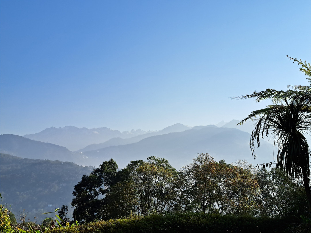 Bamboo Retreat Hotel主图