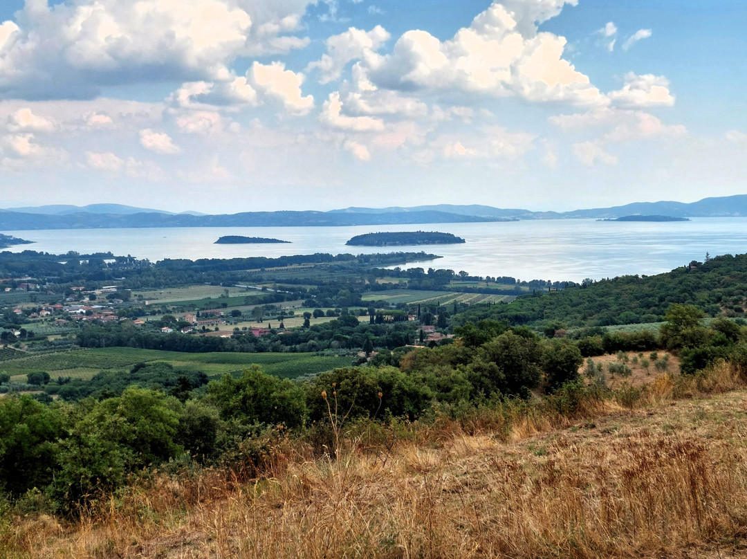 Castello di Montegualandro-Tuoro sul Trasimeno必去景点