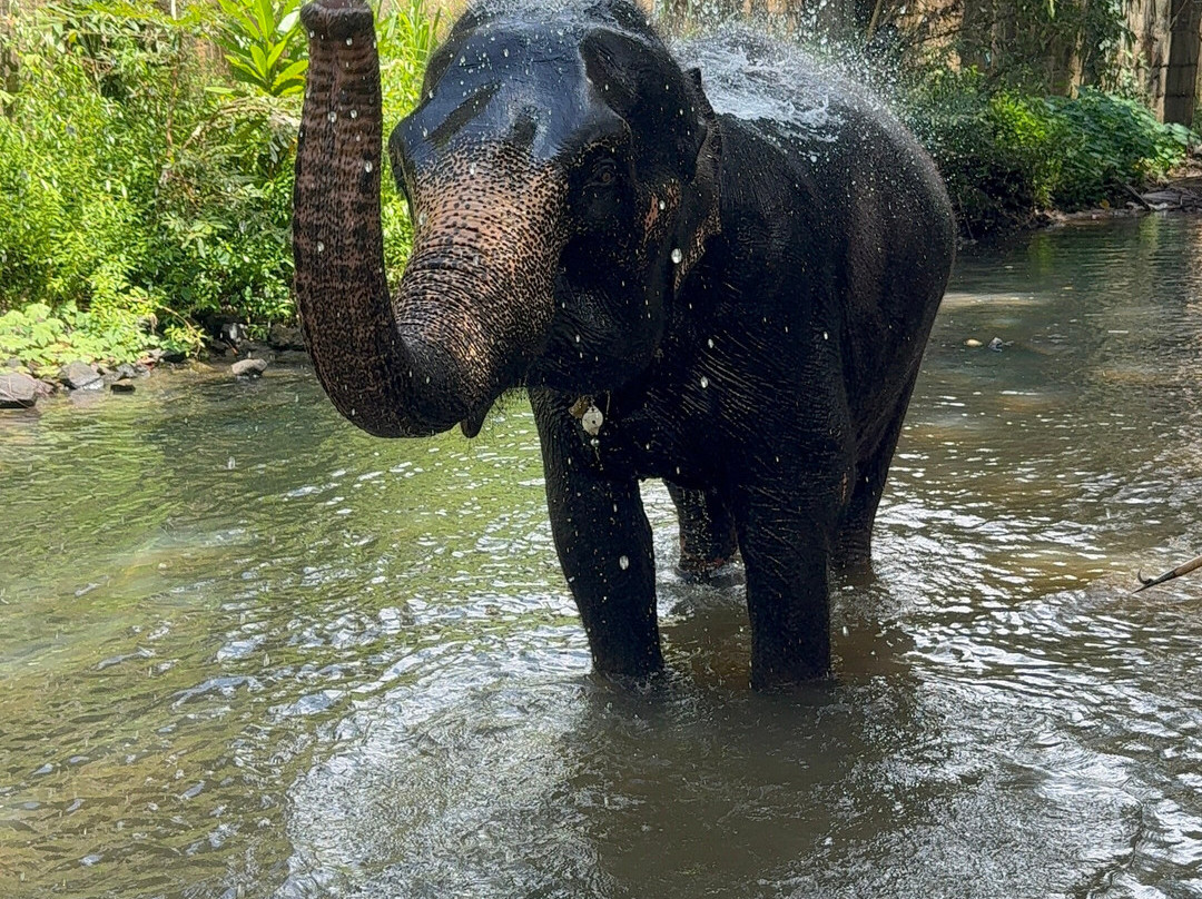 EMI Tours - Sri Lanka-Waikkal必去景点