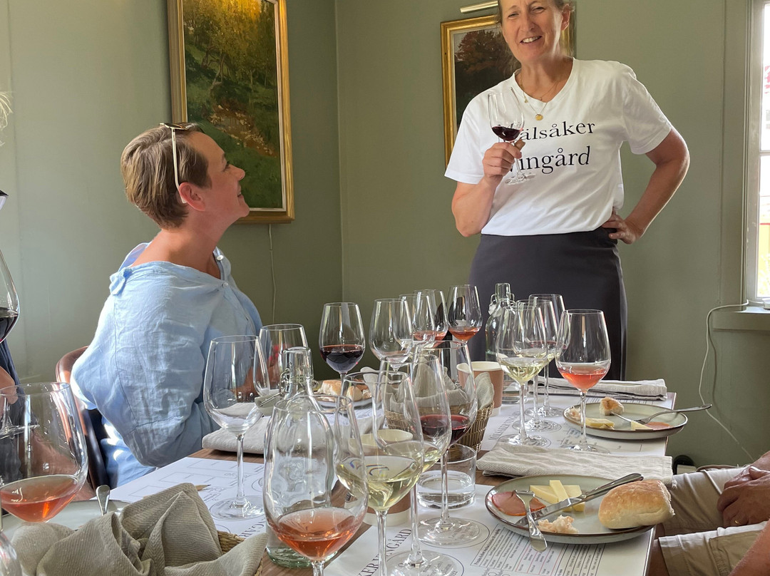 Mälsåker Vingård-Stallarholmen必去景点