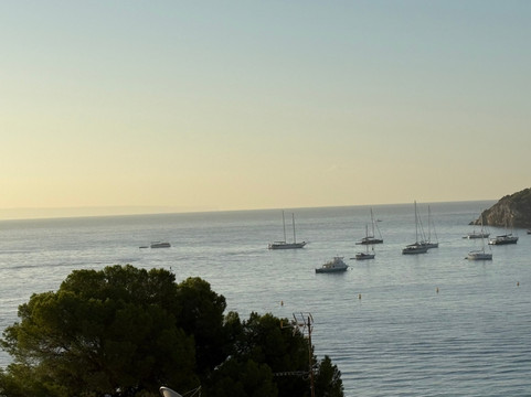 热带海滩住宿主图