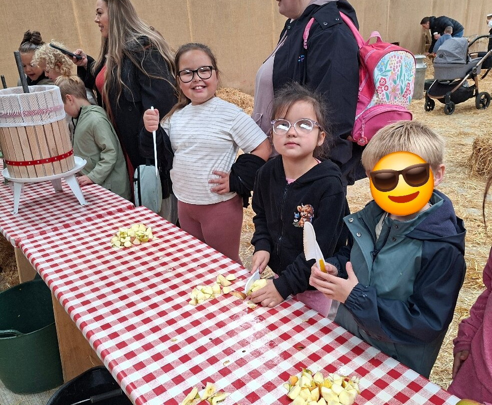 Cockfields Farm Park-Ashton-under-Lyne必去景点