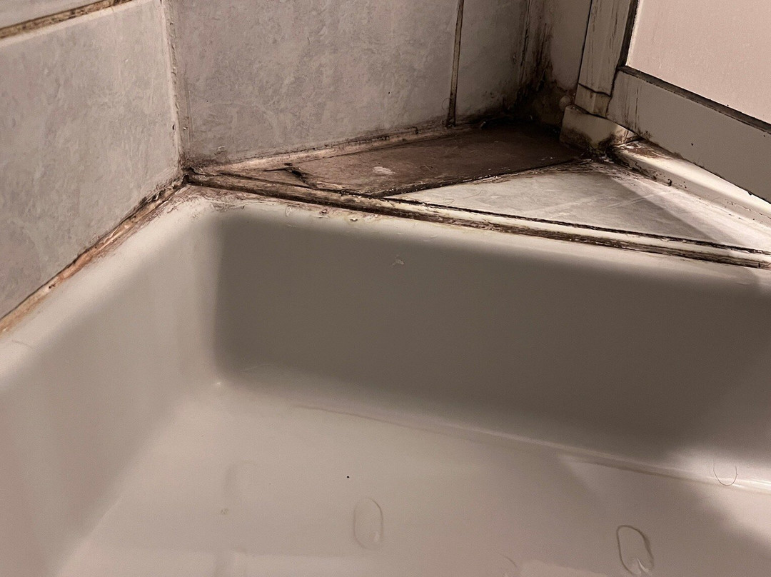 Ibis Styles Bourg en Bresse主图