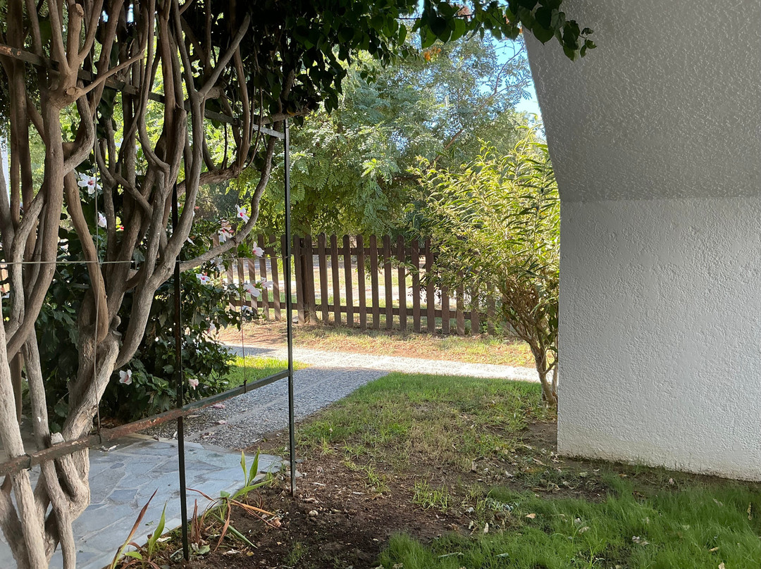 Ilios and Irene主图