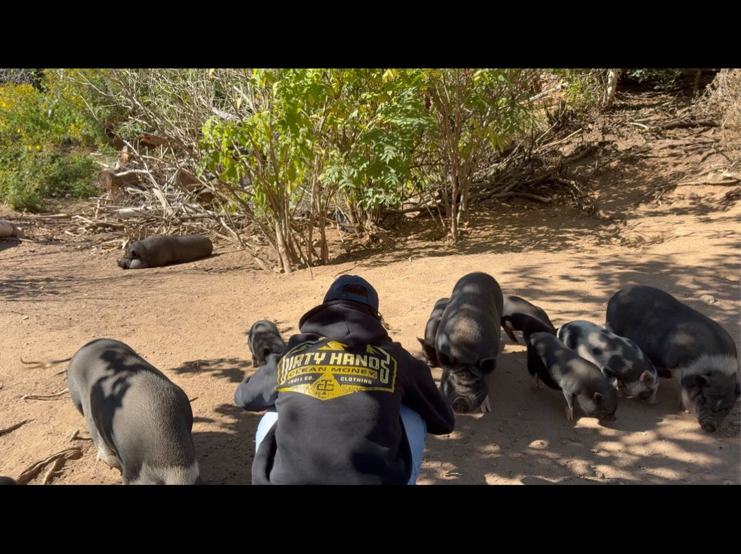 That Dutchman's Cheese Farm-Upper Economy必去景点