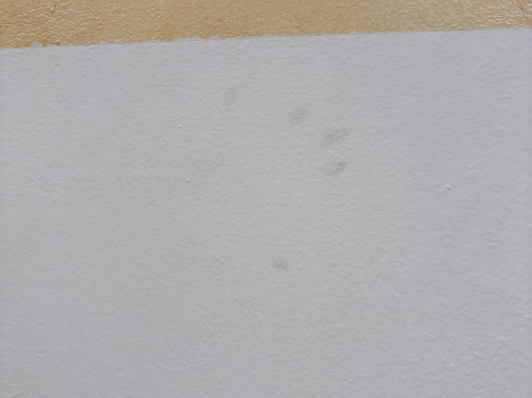 Bellevue del Golfo主图