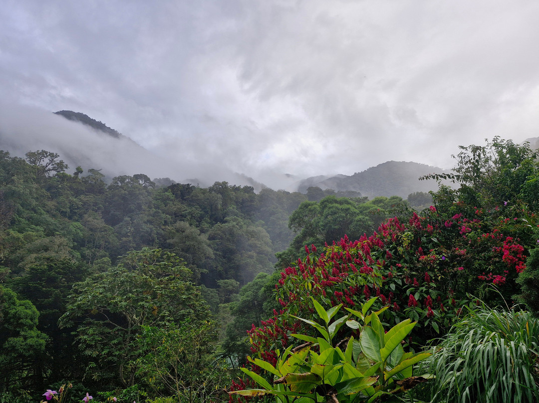 Cloudbridge Nature Reserve-San Gerardo De Rivas必去景点