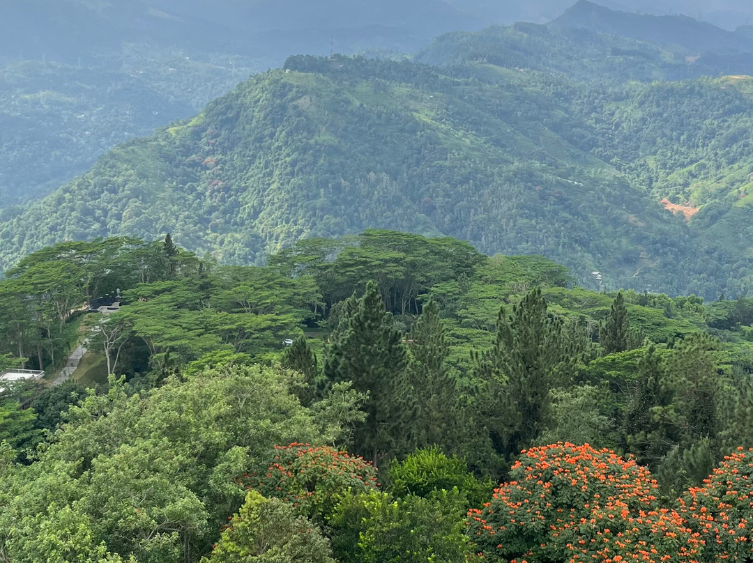 Monkey Tours Sri Lanka-加勒必去景点