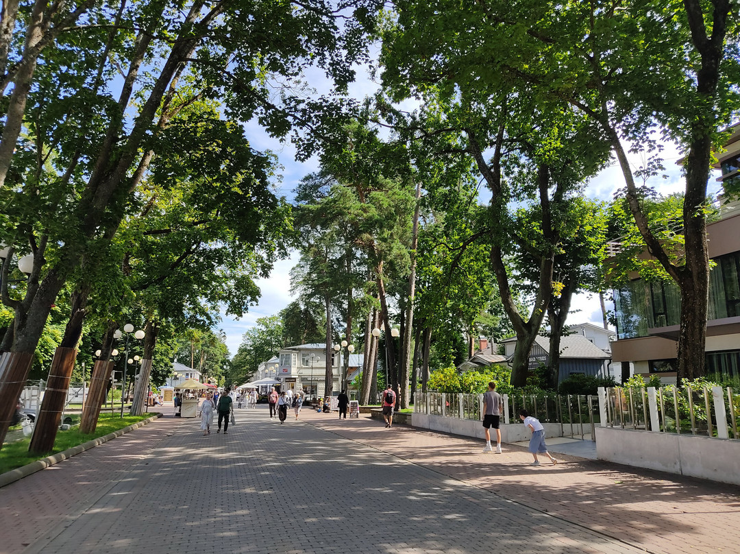 Jomas Street-尤尔马拉必去景点