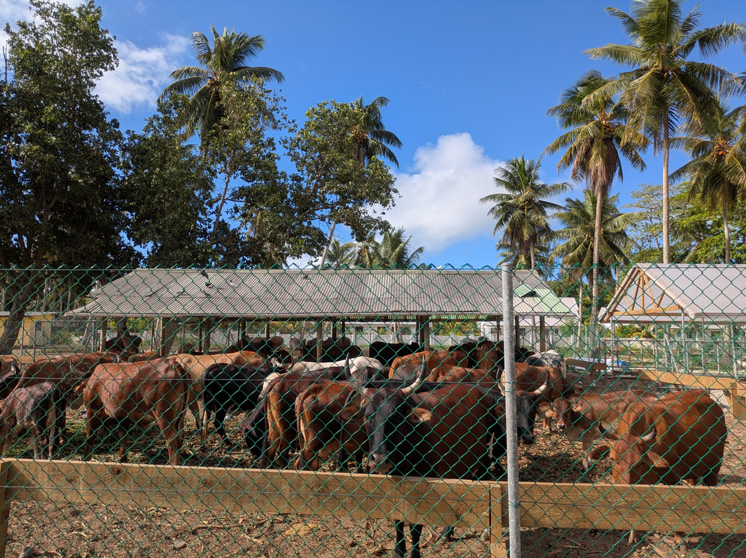 Union Estate Park-拉迪格岛必去景点
