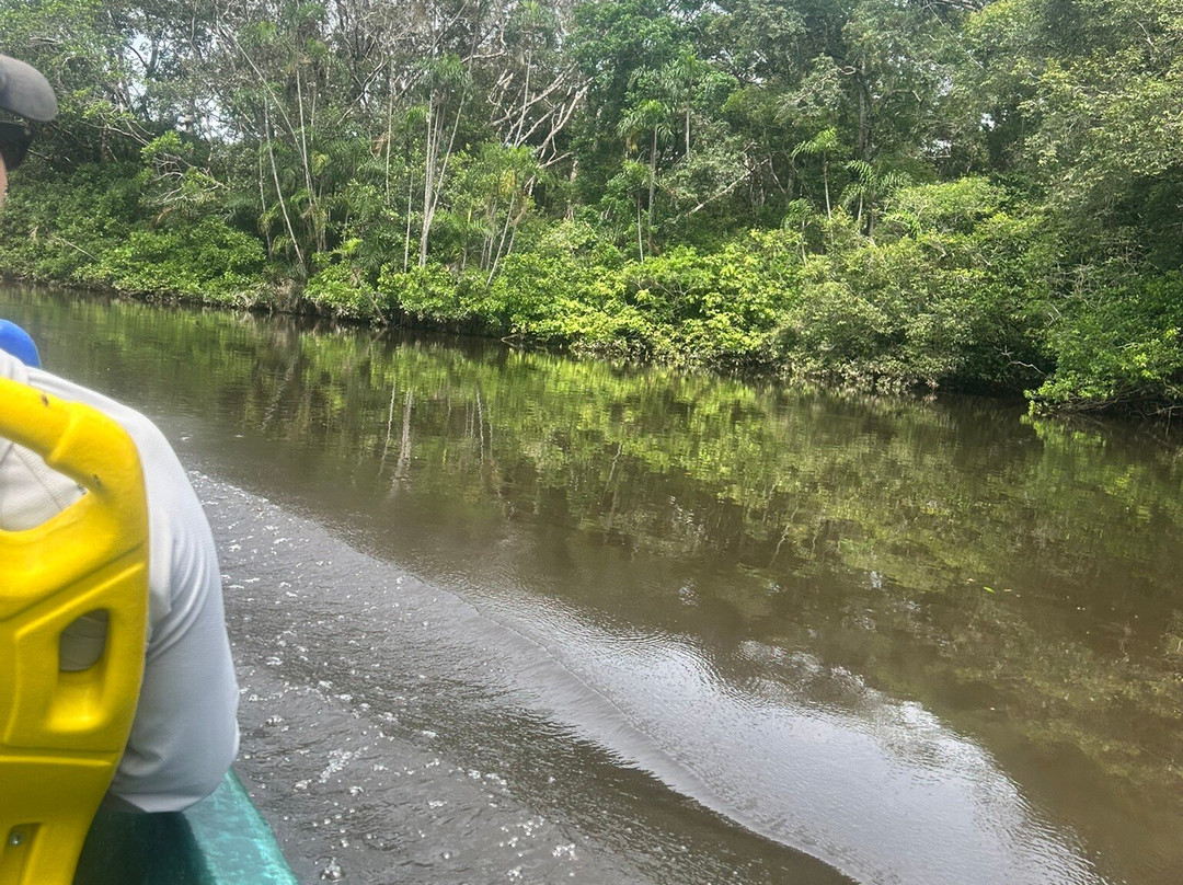 Cuyabeno Dolphin Lodge-Cuyabeno Wildlife Reserve必去景点