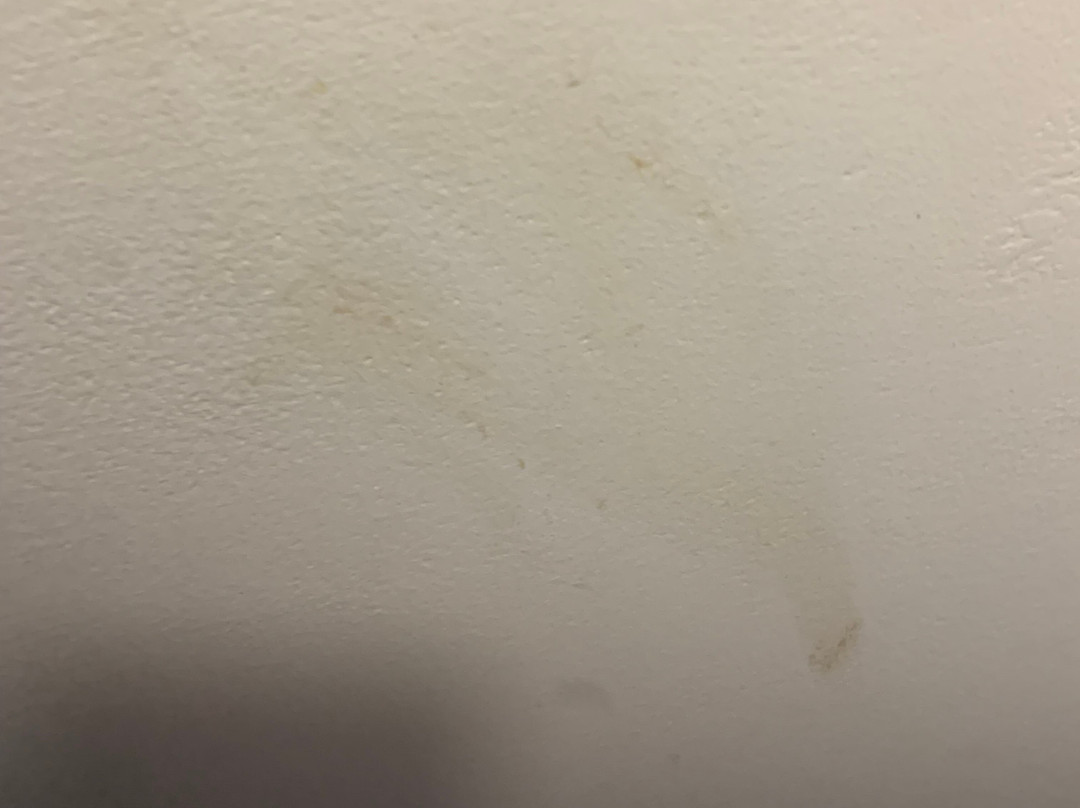 巴尔的摩酒店主图