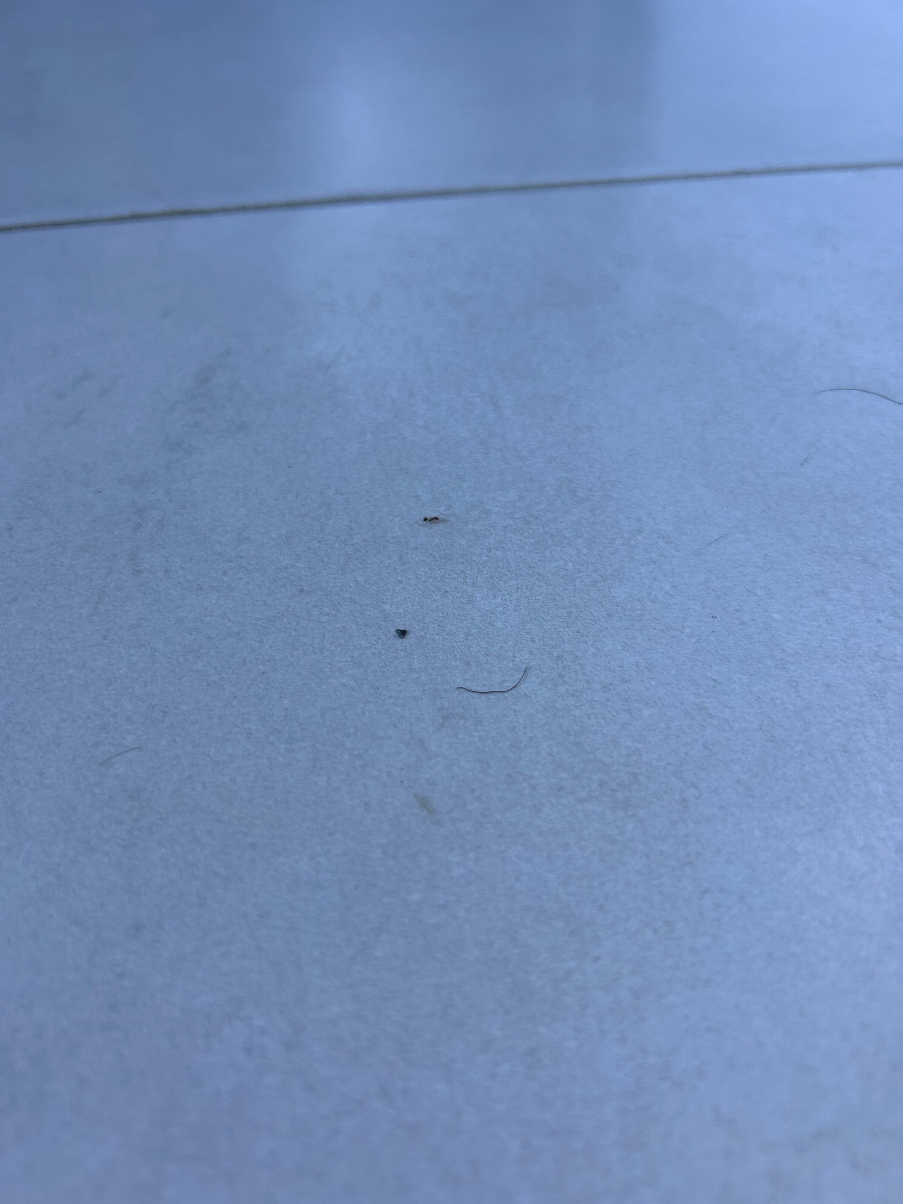 Mitsis Bali Paradise-客卧