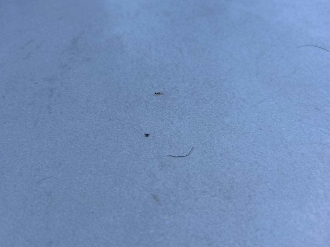 Mitsis Bali Paradise主图