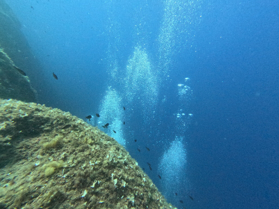 Black Pearl Diving Center Jelsa-Vrboska必去景点