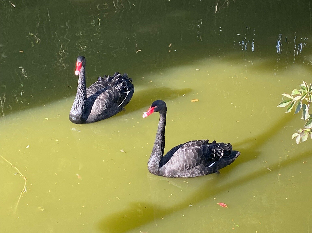 Château Marquis de Vauban-布莱必去景点