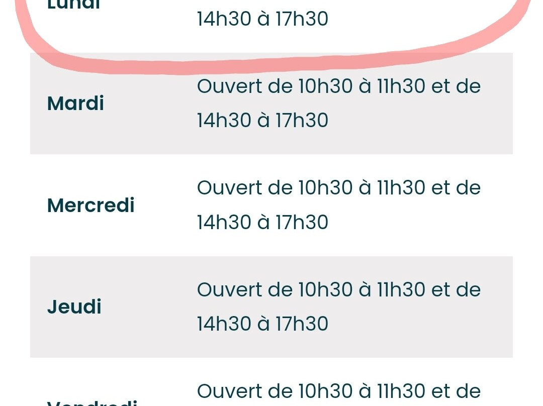 Le Petit Train in Honfleur-翁弗勒尔必去景点