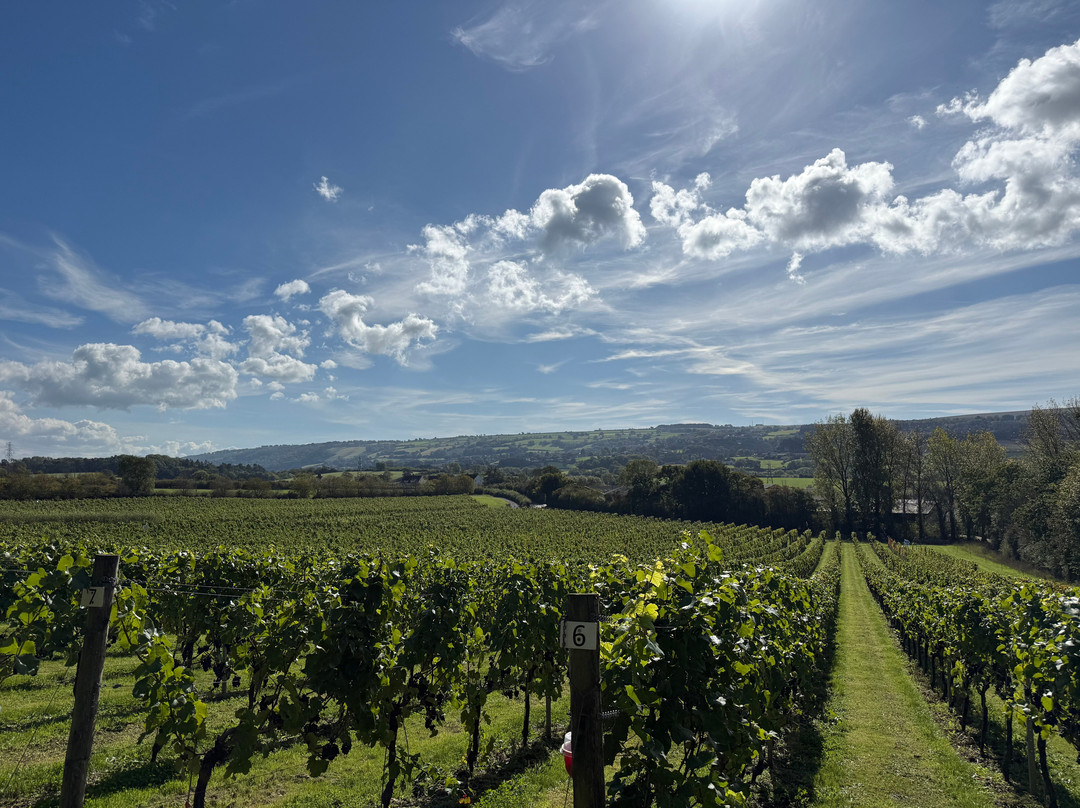 Aldwick Estate-Redhill必去景点