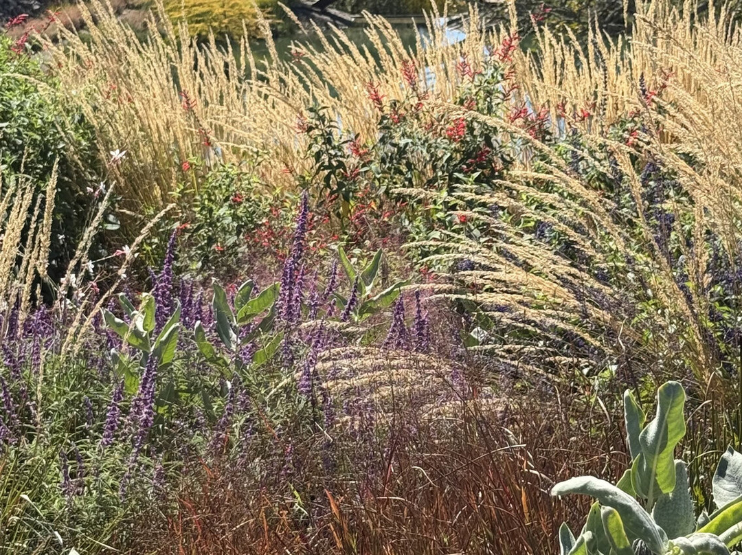 Coursey Graves Estate Winery-圣罗莎必去景点