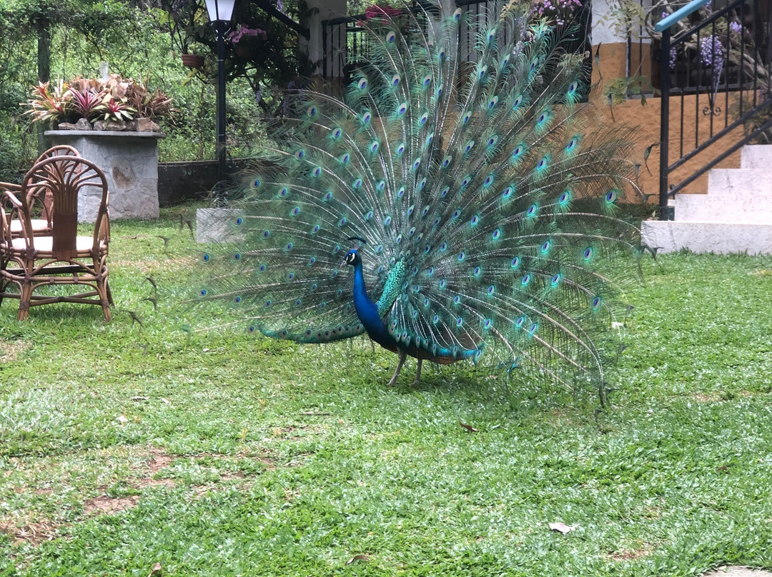 Pousada Villa D'Amore主图