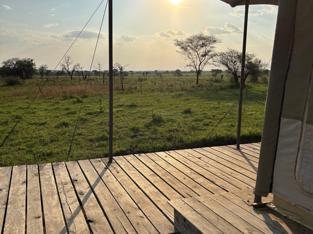 Glimpse of Africa Tented Camp-Ikoma必去景点
