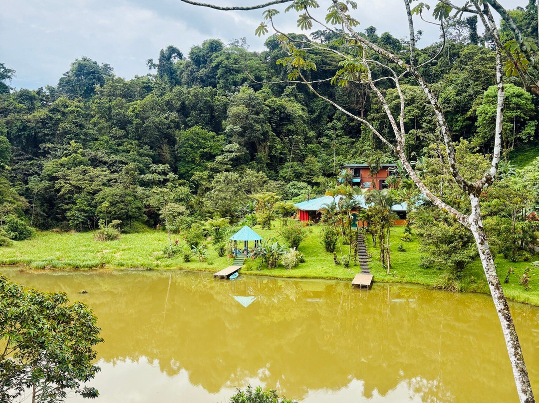 Lucky Bug B & B主图