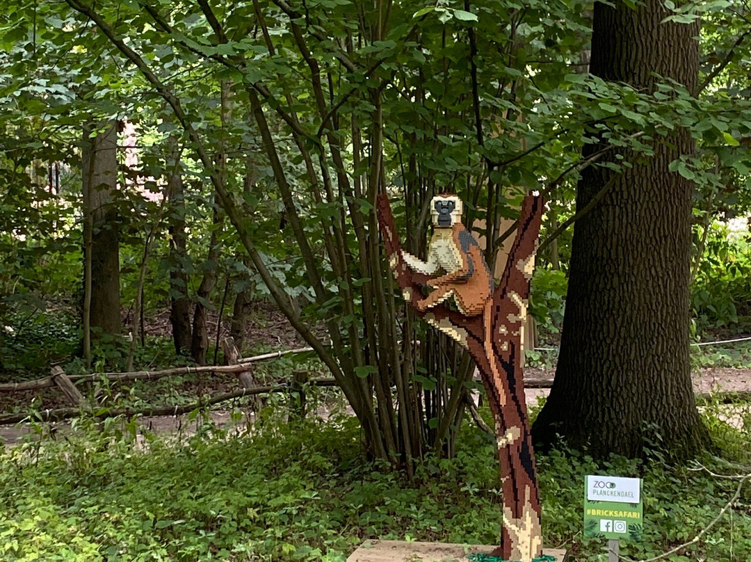 Zoo Planckendael-梅赫伦必去景点