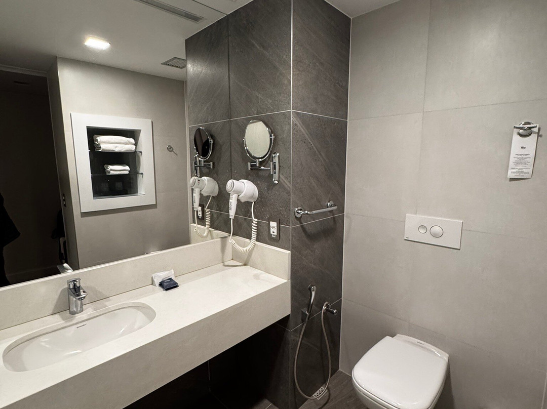 Rio Hotel By Bourbon Campinas主图