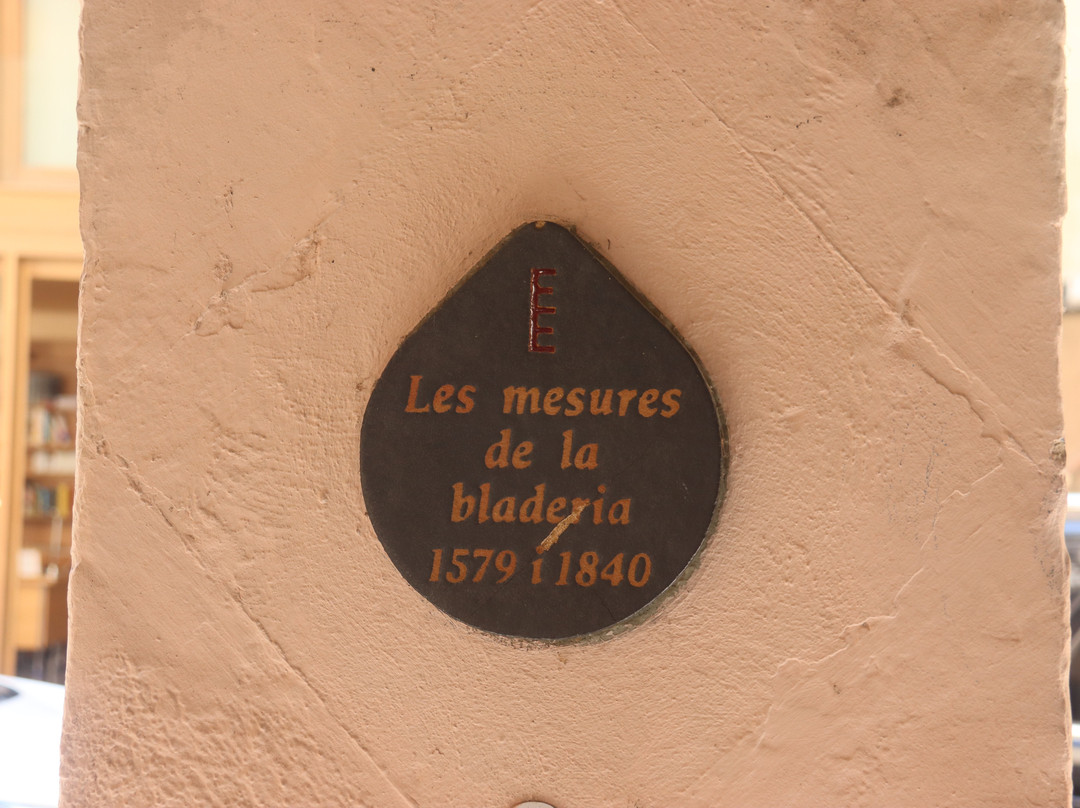 Carrer dels Canonges-La Seu d'Urgell必去景点