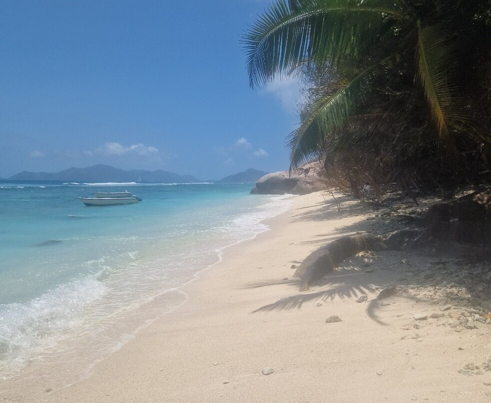 Crystal Water Kayaks-L'Union必去景点